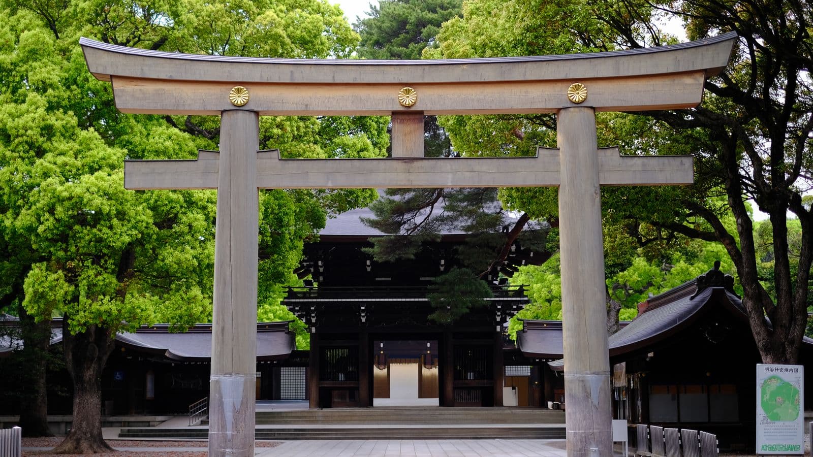 緑に囲まれた日本の神社境内に立つ大きな石造りの鳥居と社殿